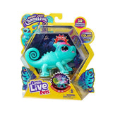 CHAMELEON S1 SGL PK SUNNY - Kiddy Zone
