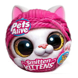 Pets Alive-Smitten Kittens- Series 1 Interactive Plush - Kiddy Zone