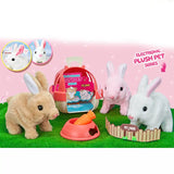 B/O Plush Pet Rabbit Toy With Accessories 3yrs+ - MC-1016