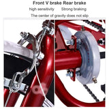 Forever Tricycle 20 inch Fruit Basket Red