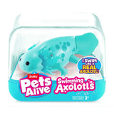 S001-Pets Alive-Robo Axolotl - Series 1 - Swimming Axolotl-Cube- 3facing12pcs/Pdq,48pcs/4pdq/Ctn - Kiddy Zone
