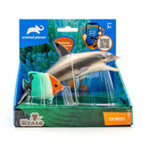 2 Pcs Dolphin & Fish In Open Touch Box - Kiddy Zone
