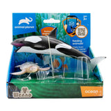 2 Pcs Killer Whale And Turtle In Open Touch Box - Kiddy Zone