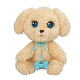 Baby Paws W2 Labrador - Kiddy Zone