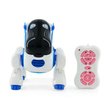 New Boy Smart Dog