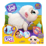 LLP MP LAMB SNOWIE - Kiddy Zone