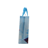 Frozen Gift Bag Size 02