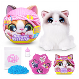 S001-PETS ALIVE-SMITTEN KITTENS