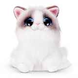 S001-PETS ALIVE-SMITTEN KITTENS