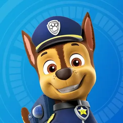 Paw patrol