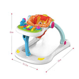 4 In 1 Walker 6m+ HE0802