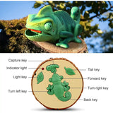 Remote control chameleon (not powered)