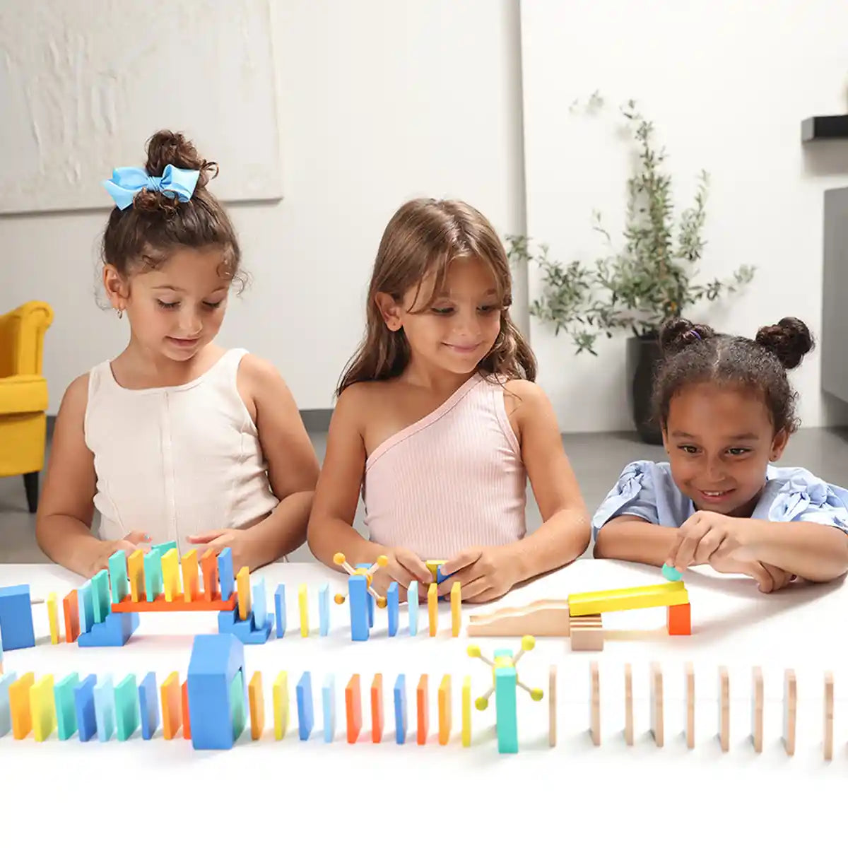 Bimbly Arabian Domino