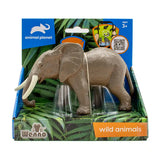 1 Pcs Elephant in Open Touch Box - Kiddy Zone