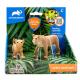 2 Pcs Lioness In Open Touch Box - Kiddy Zone
