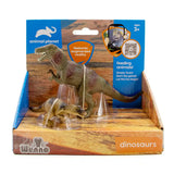 2 Pcs Tyrannosaurus In Open Touch Box - Kiddy Zone