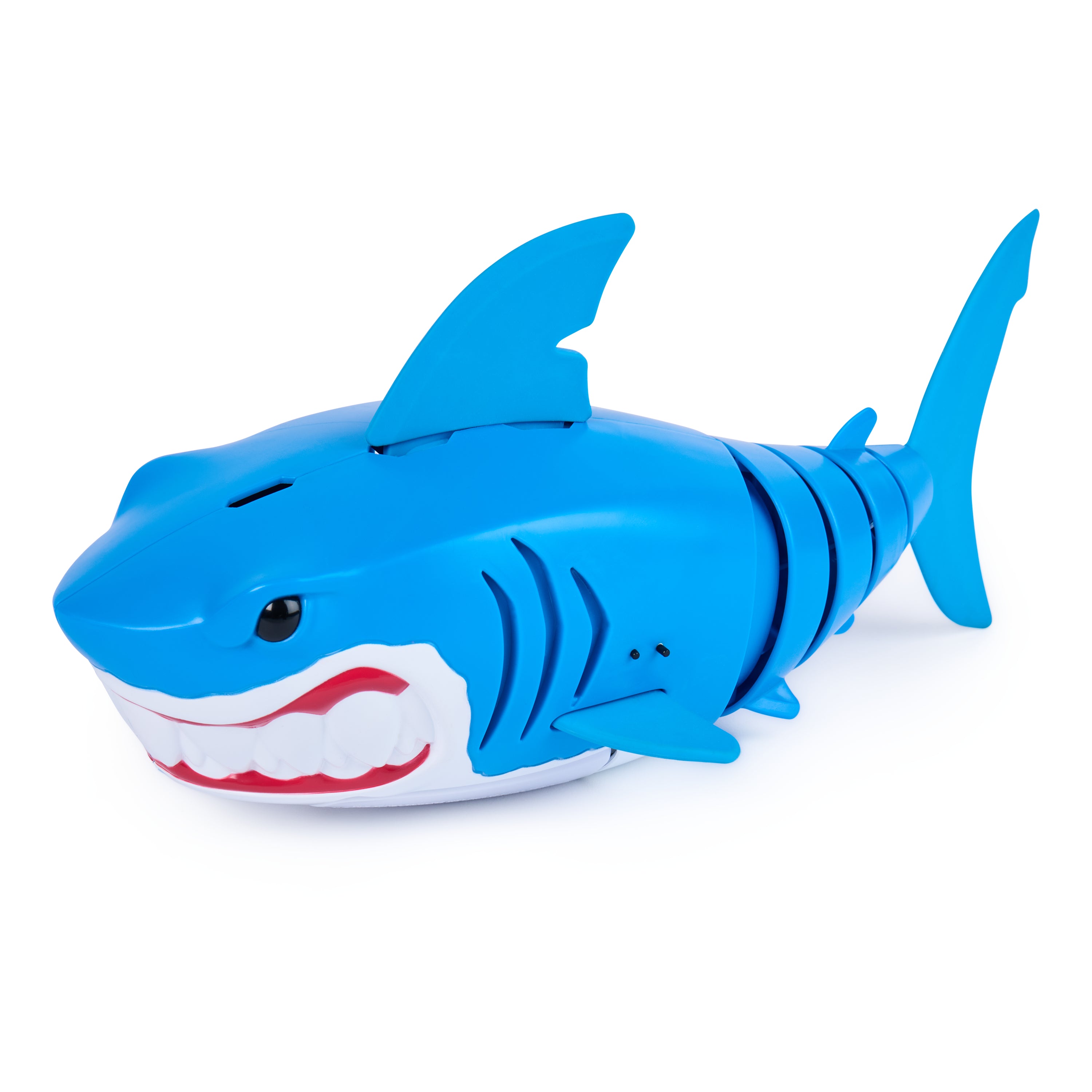 SW Rainbow Reef Shark Finn Diesel