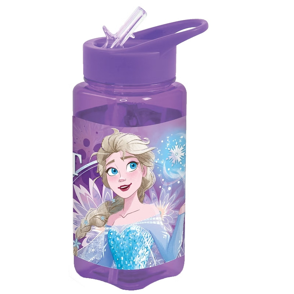 Frozen Square Water Bottle