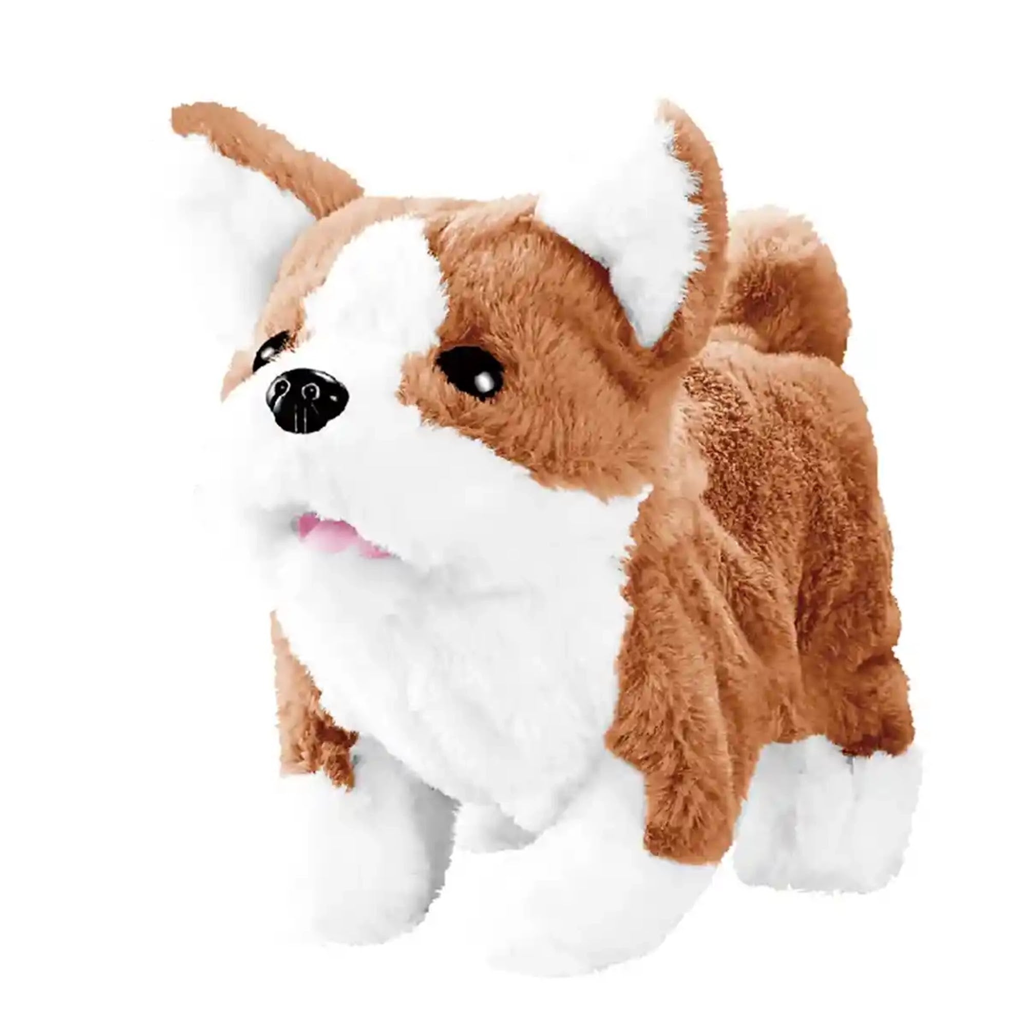 B/O Corgi Dog