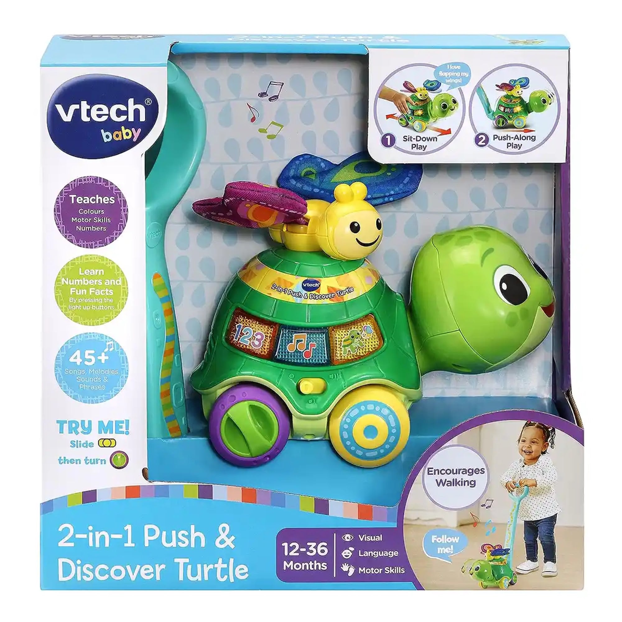 2IN1 PUSH & DISCOVER TURTLE