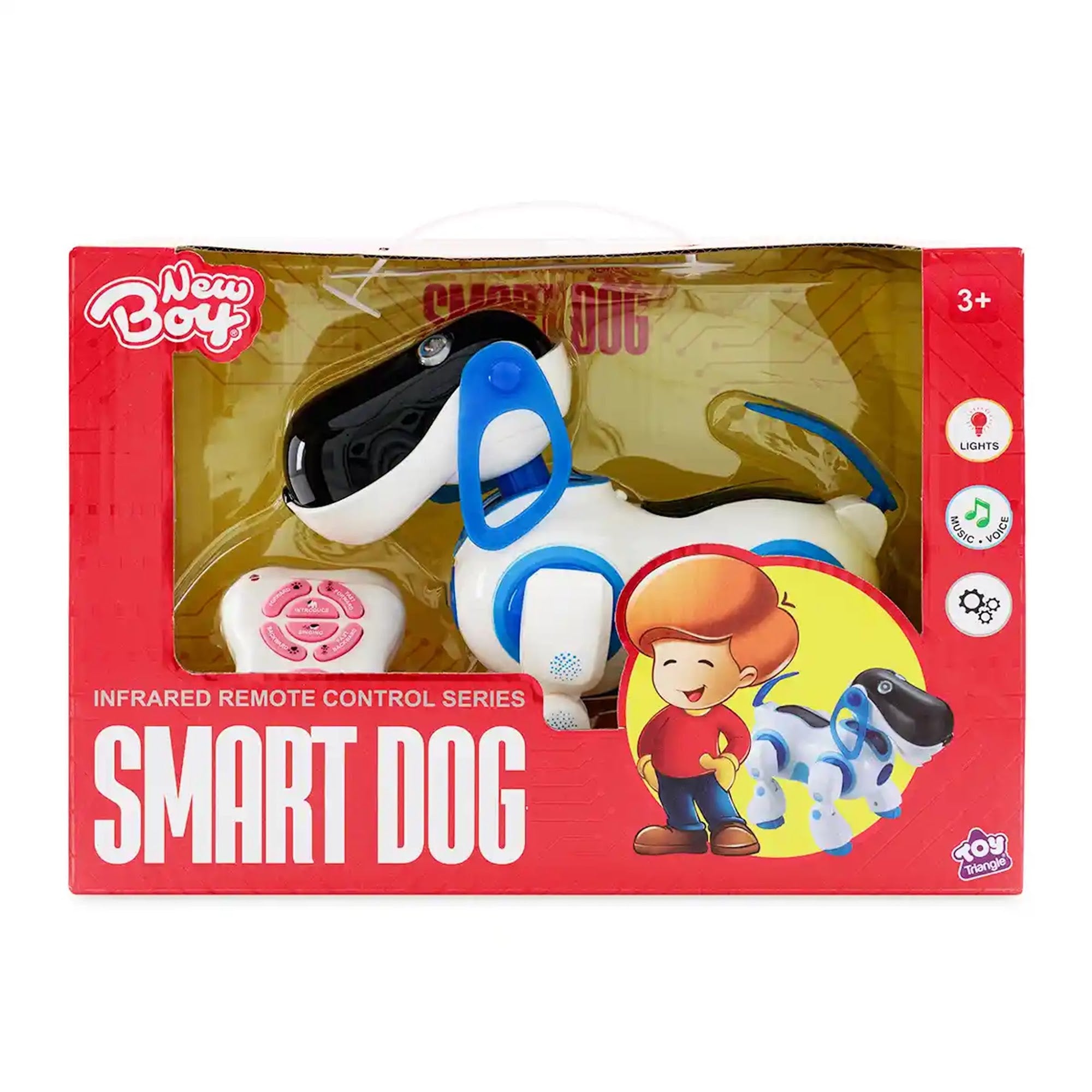 New Boy Smart Dog