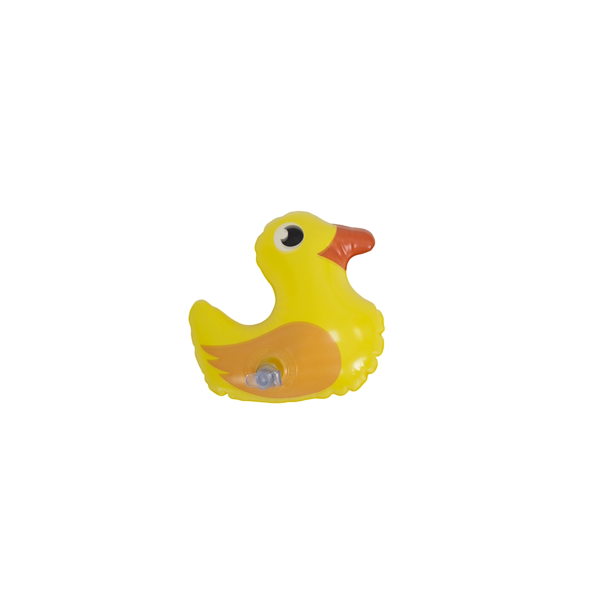 Animal Spray Pool