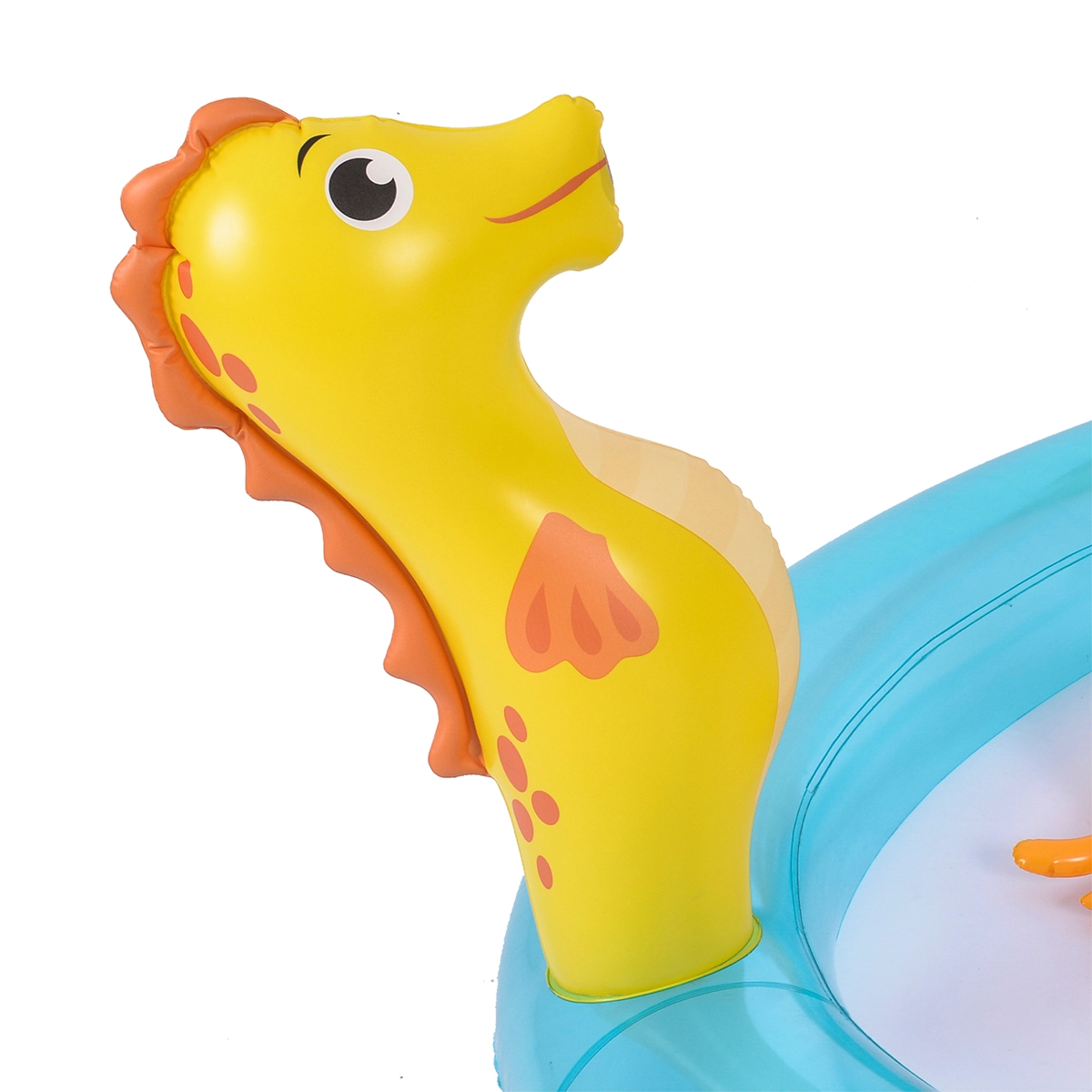 Sea Animal Play Pool