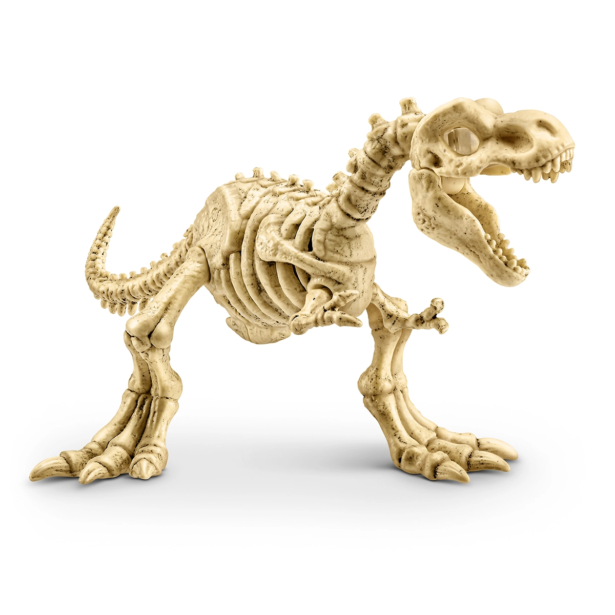 S001-ROBO ALIVE-DINO FOSSIL FIND-AMBER ADVENTURE