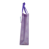 Frozen Gift Bag Size 01