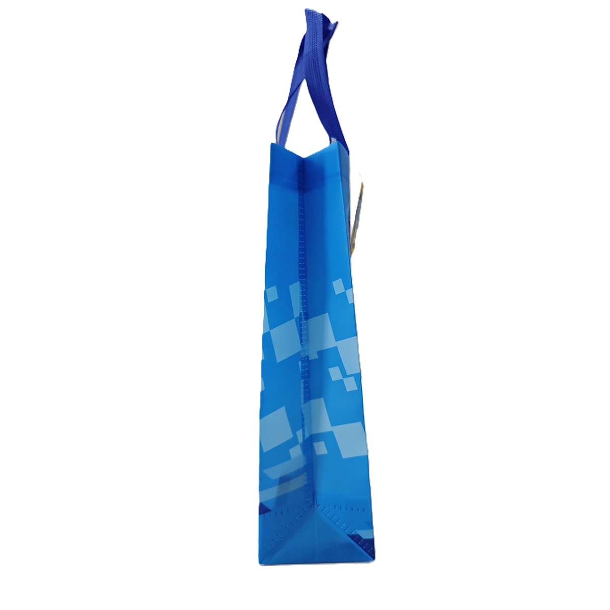 Sonic Gift Bag Size 01