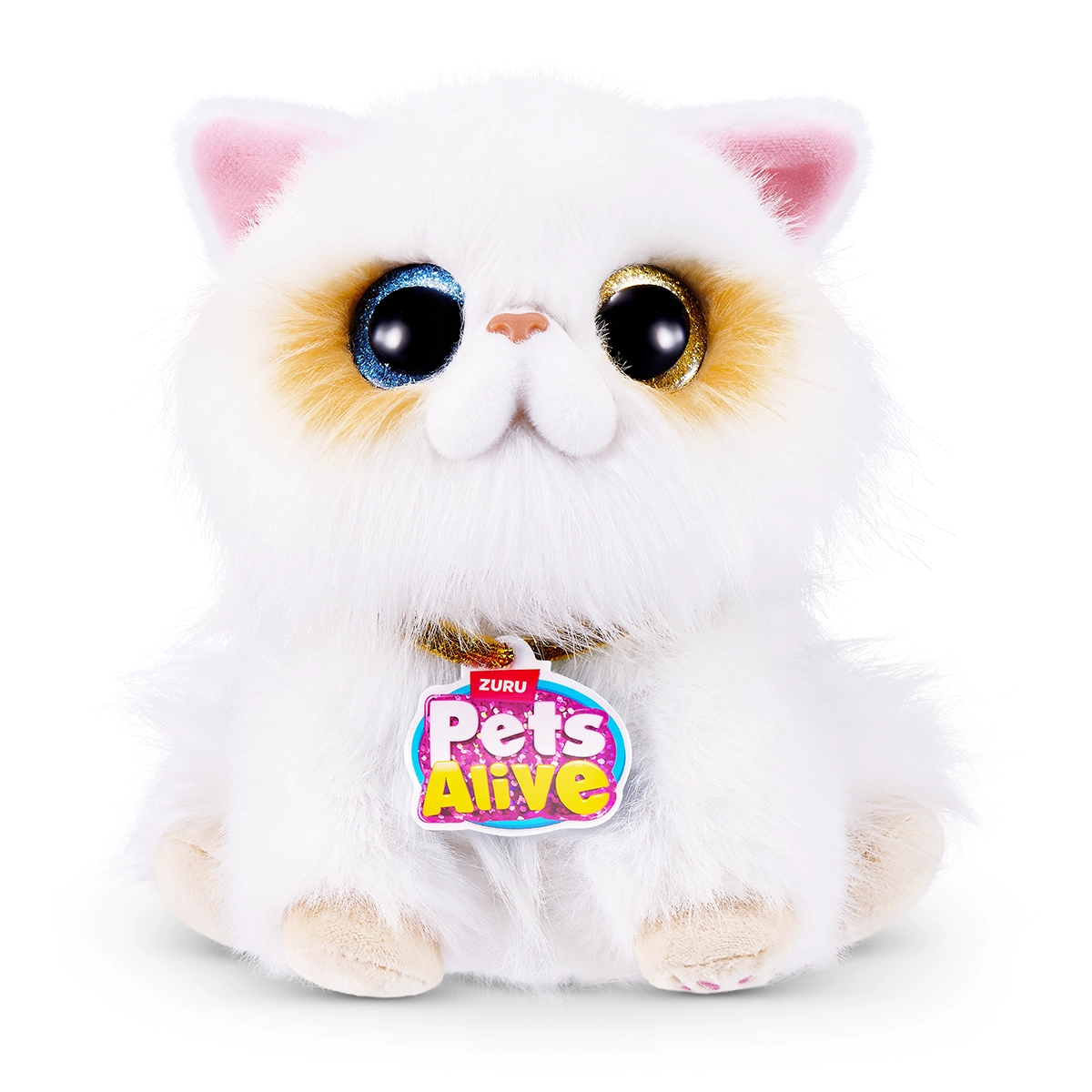 S001-PETS ALIVE-SMITTEN KITTENS