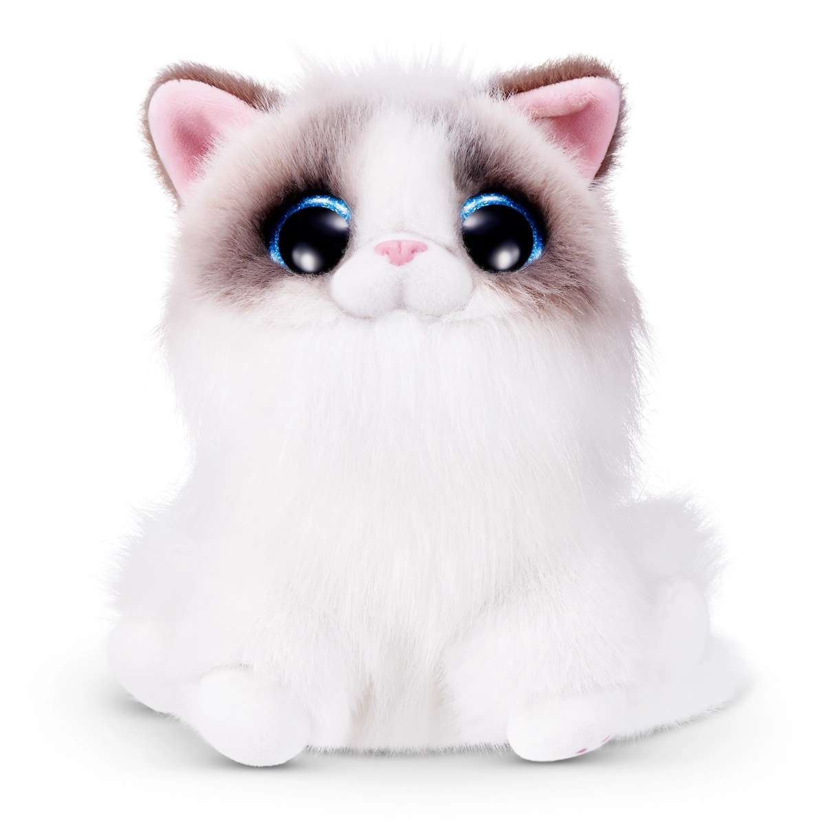 S001-PETS ALIVE-SMITTEN KITTENS