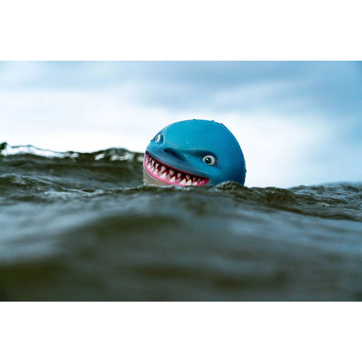 Waboba Sharky Shark